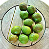 Richard's photo of 'green eggs'