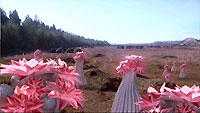 Destinations & Inhabitants