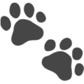 paw prints