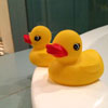 Richard's picture of rubber ducks in South Africa