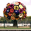 Richard's picture of the Flower Tree sculpture in Lyon