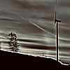Richard's Photo of Holland